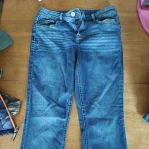 Maurices size 10 boot cut jeans
